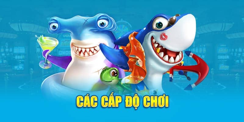 Các cấp độ chơi