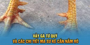 Vảy Gà Tứ Quý Và Các Chi Tiết Mà Sư Kê Cần Nắm Rõ